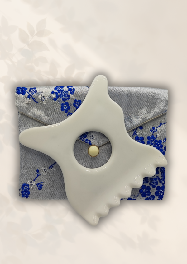 La beauté holistique (A4) (1) Le Duo Rituel